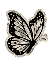Mariposa